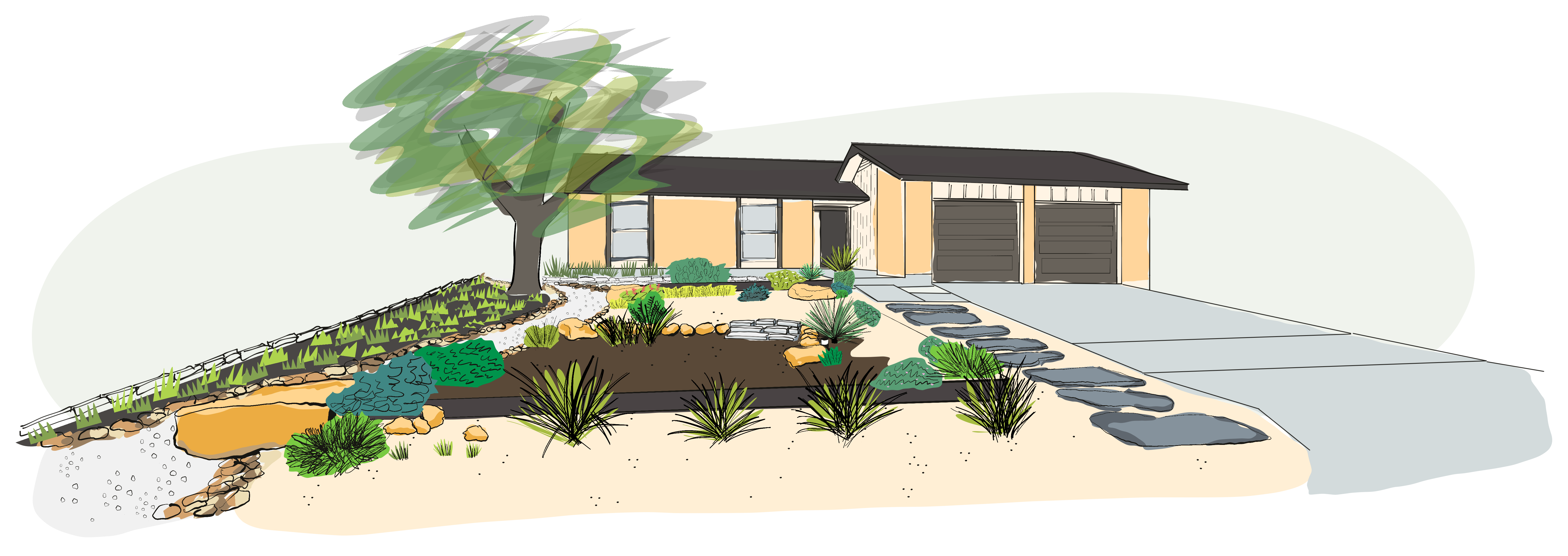 Texas Native Plant Yard Design